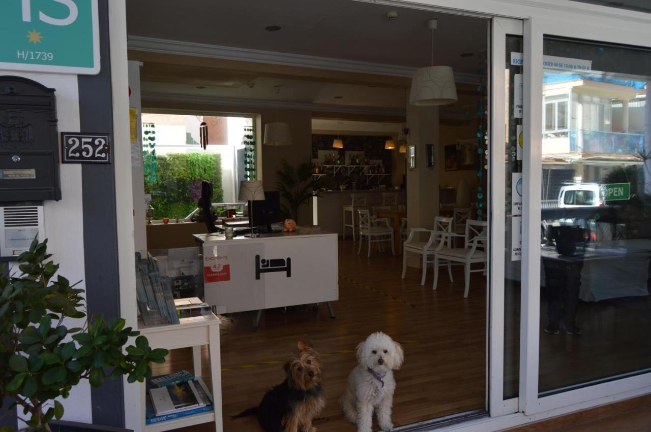 Hostal Mar Del Plata (Adults Only) El Arenal  Exterior foto